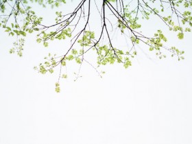 ���죬��һ����̵���������