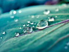 �������������ȱ