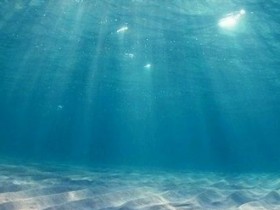 Ҫ��ϧÿ��С�˻�