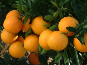 ���������Ҹ�Ī���ڣ��������㣬��������…….