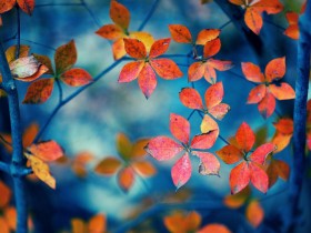 �������ֵ���Ⱥ�������˺͹¶�Ҳ�Ǻ���ů�Ĵ��