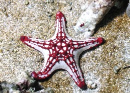 ����ͻȻ�����Լ��ڲ�֪�������ѱ�ʱ��������ǰ��