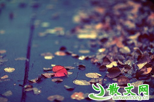 δ����������������Ϊ�Ľ��