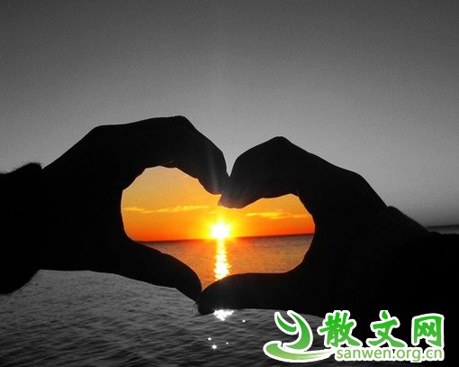 һ�����飬ѰҲ����