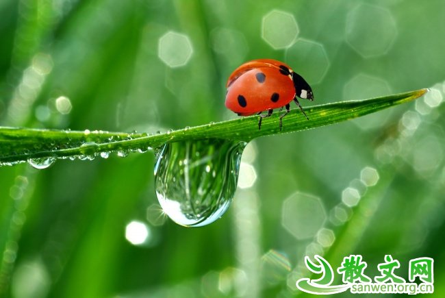 ���������Է���