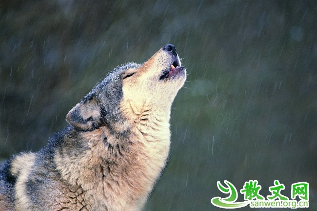 һ��ʧ�ܲ�������ͳ�����