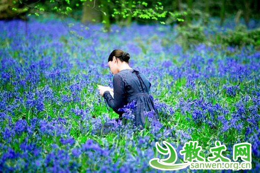 �ܸɵ��ˣ����������ϼƽ�