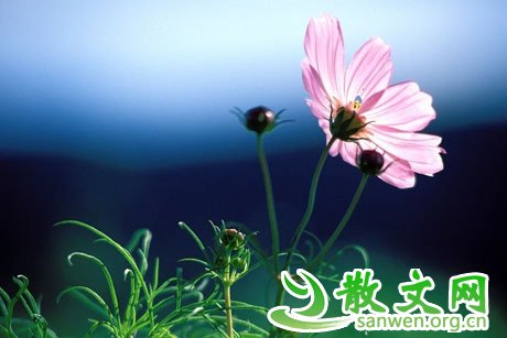 ������������������