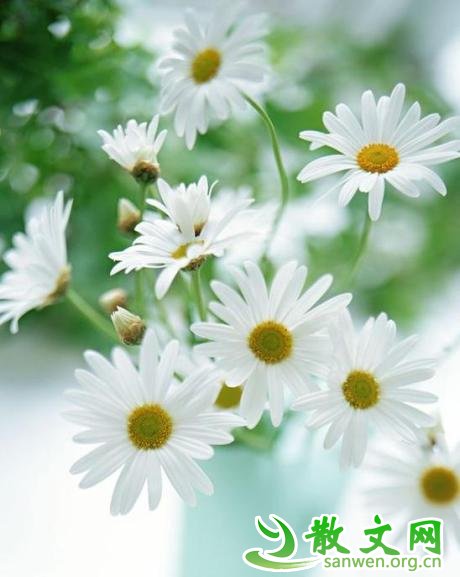 ���Ƶ����ʺ�һ���֣����������ʺ�һ�����