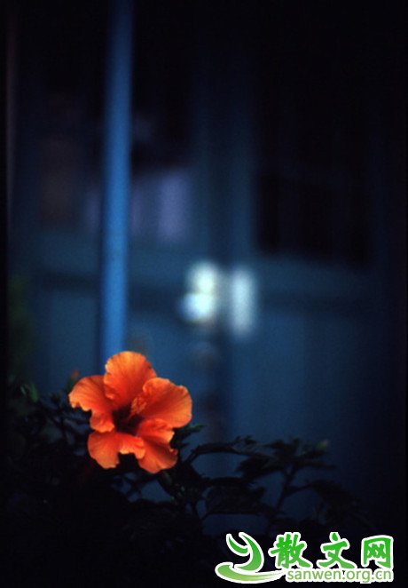 ��Ҫ����˭��������Ц��