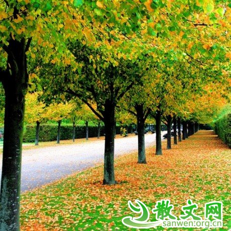 ֻҪ����������û��ʲô�����Լ�����