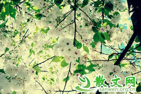 ֻҪ���룬��һ��������һ��һ��Ӯ����