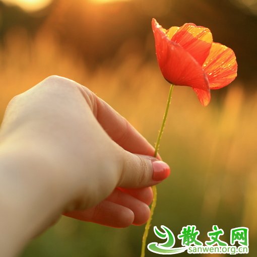 ��һ���ˣ��Ⱥ�һ����Ҫ���ֵö�