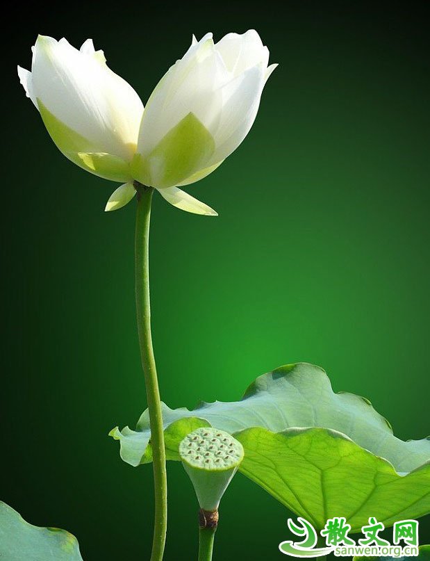 �㲻֪���㽫Ҫȥ���η������������ν�Ƿ���·