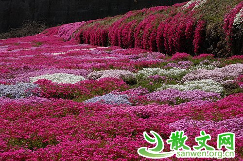 ��Ҫ��Թ����Ҫ���ͣ�Ҫ���ľ��Ǽ��