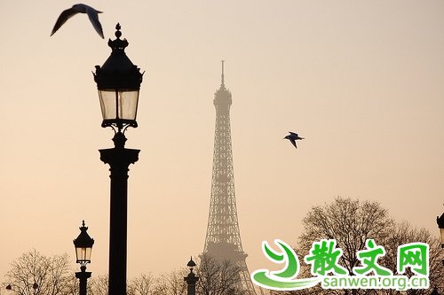 ��Ҫ������͵���������