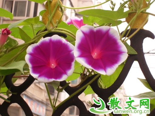 ���һ�ж�ѭ�浸�أ���������ʲô��Ȥ