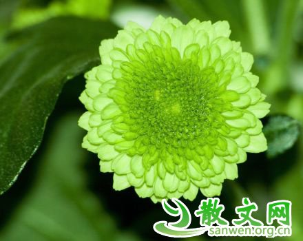 ��һ�����ǻ۵���