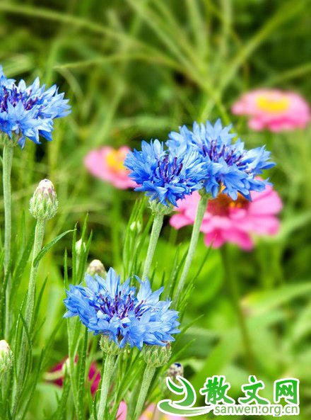 ѧ�ż���Լ��϶����£���Ҫ�ܱ�����ô˵