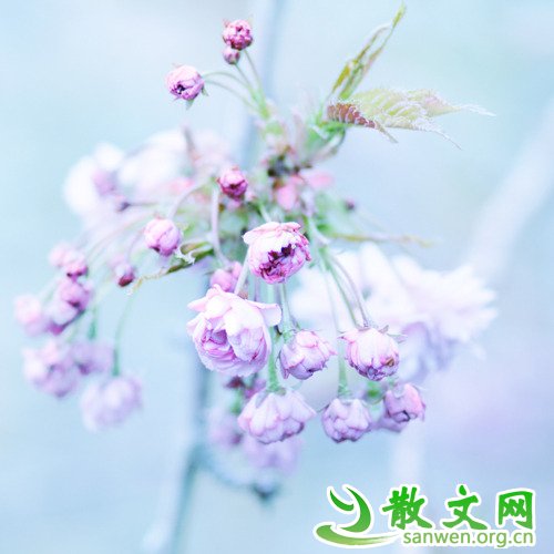 �����ߵ�����,���ü�ס��������һ��û�о�ͷ��·