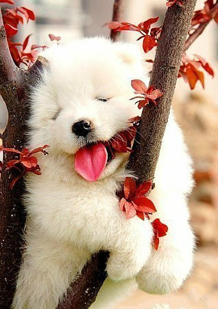 ��Ϊʧȥ�Ŀ�����Ϊ�����������ߵ�һ��΢Ц��