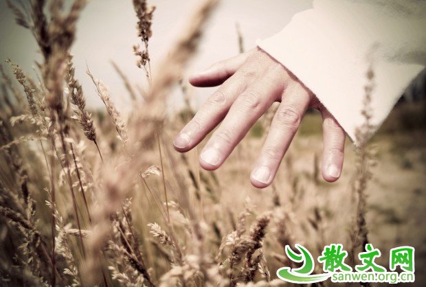 ������ʧ�󣬲Ż���õ�ѡ��