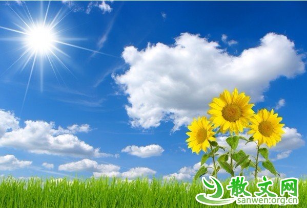 ���ɴ����߽��ǰ���