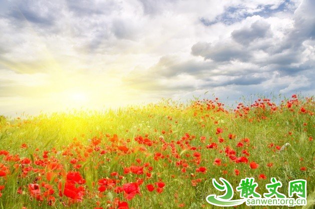 һ�����ؿ������ˣ�����ȷ�ؿ������������˵Ĳ��