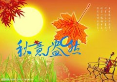 ����ҹ����������