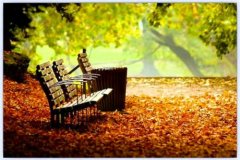 �ഺ����裬��������