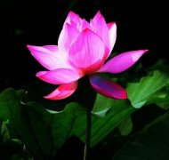 ������������������